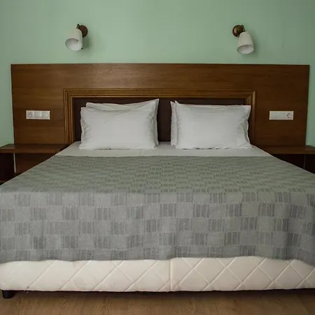 Aleksion Palace מלון *