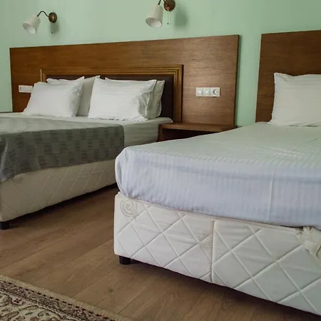 מלון Aleksion Palace