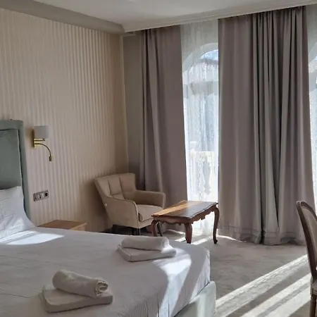 Aleksion Palace 오그냐노보