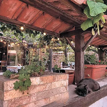 Aleksov Complex Aleksion Palace Otel Ognyanovo (Blagoevgrad)