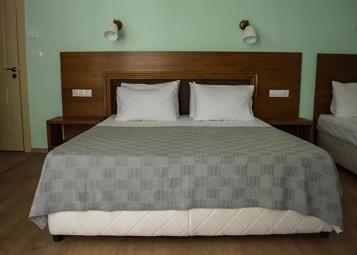 Aleksion Palace 호텔 *