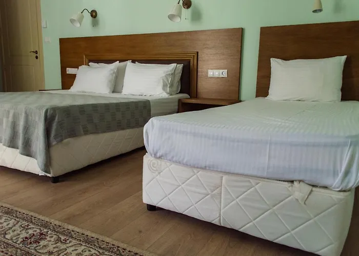 Hotel Aleksion Palace