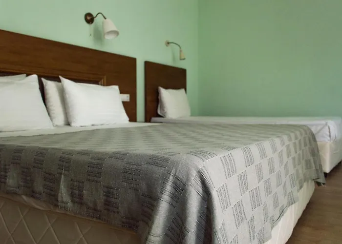 Aleksion Palace 호텔 오그냐노보