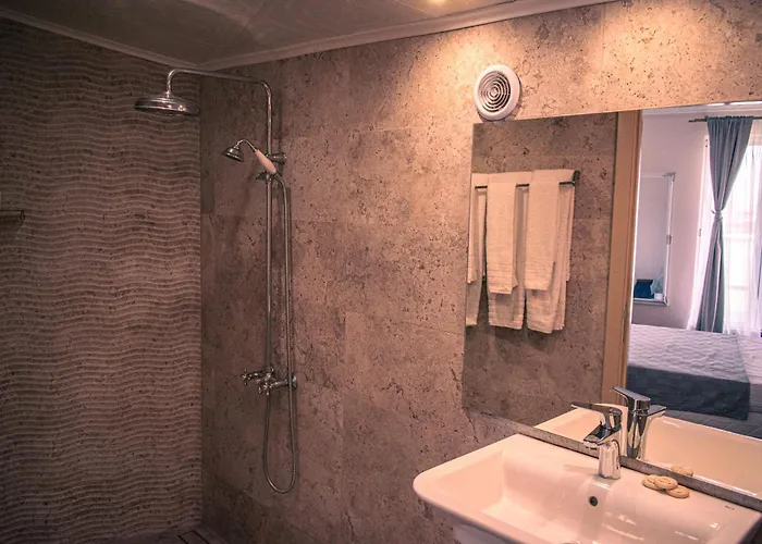 Aleksion Palace 호텔 *